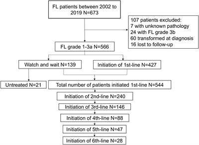 Management and clinical outcomes of follicular lymphoma across continuous lines of treatments: a retrospective analysis in China